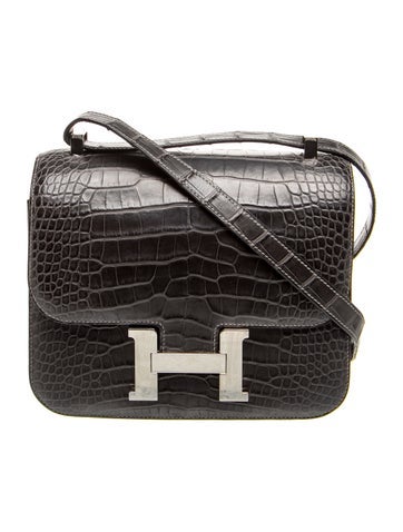Matte Alligator Mississippiensis Constance 24