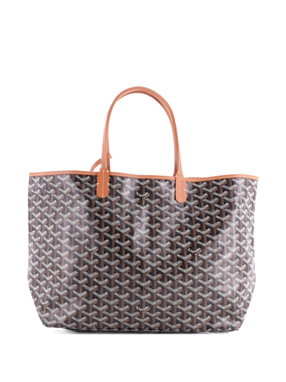 Saint Louis Coated Canvas PM tote bag
