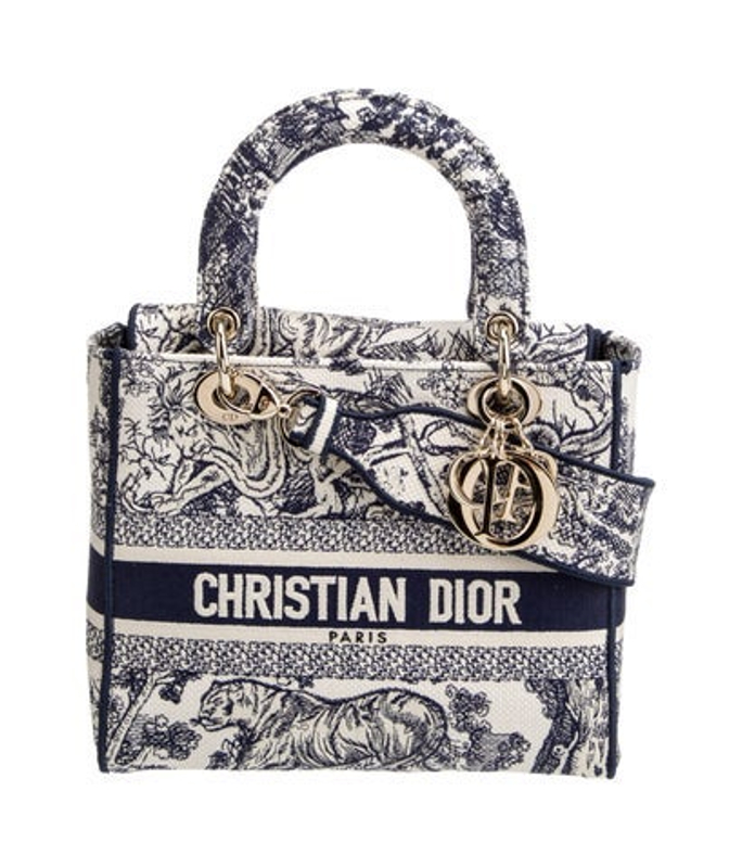 Dior Dior Canvas D Lite Medium