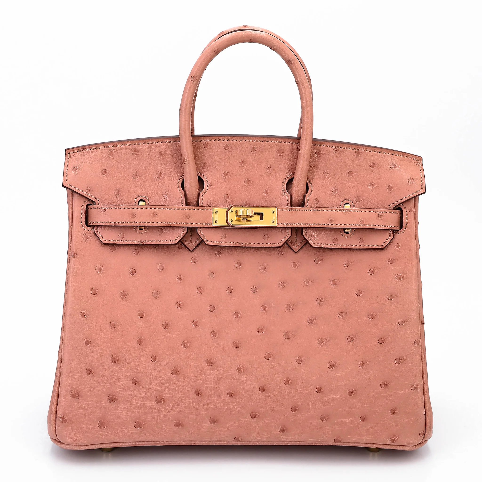 Unused ( Rank NS ) HERMÈS Birkin 25 Terre Cuite (94) Ostrich Gold hardware B (2023)