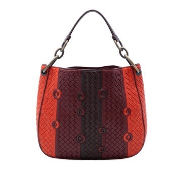 Alligator Multicolor Nappa Intrecciato Grommet Loop Hobo