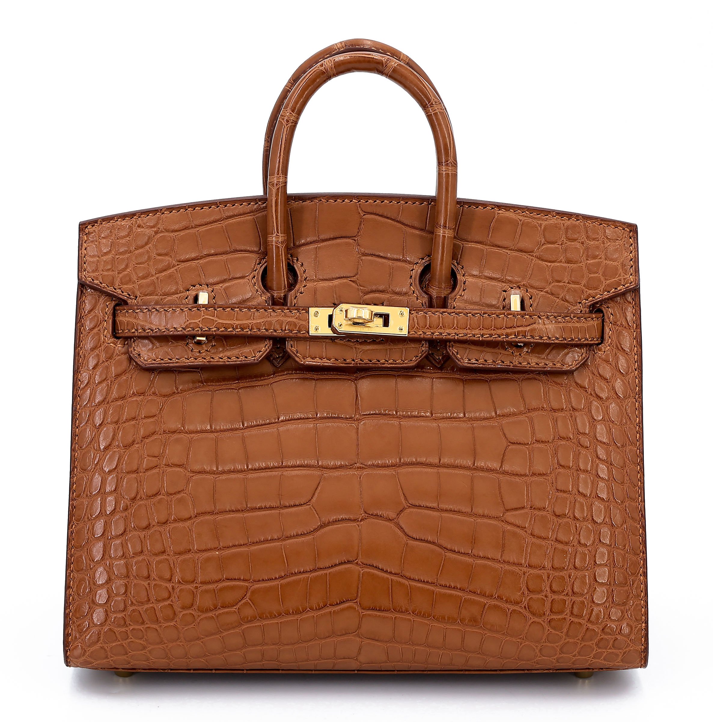 Hermes Brand New ( Rank N ) HERMÈS Birkin 20 Sellier Gold (37) Matte Alligator Gold hardware W (2024)
