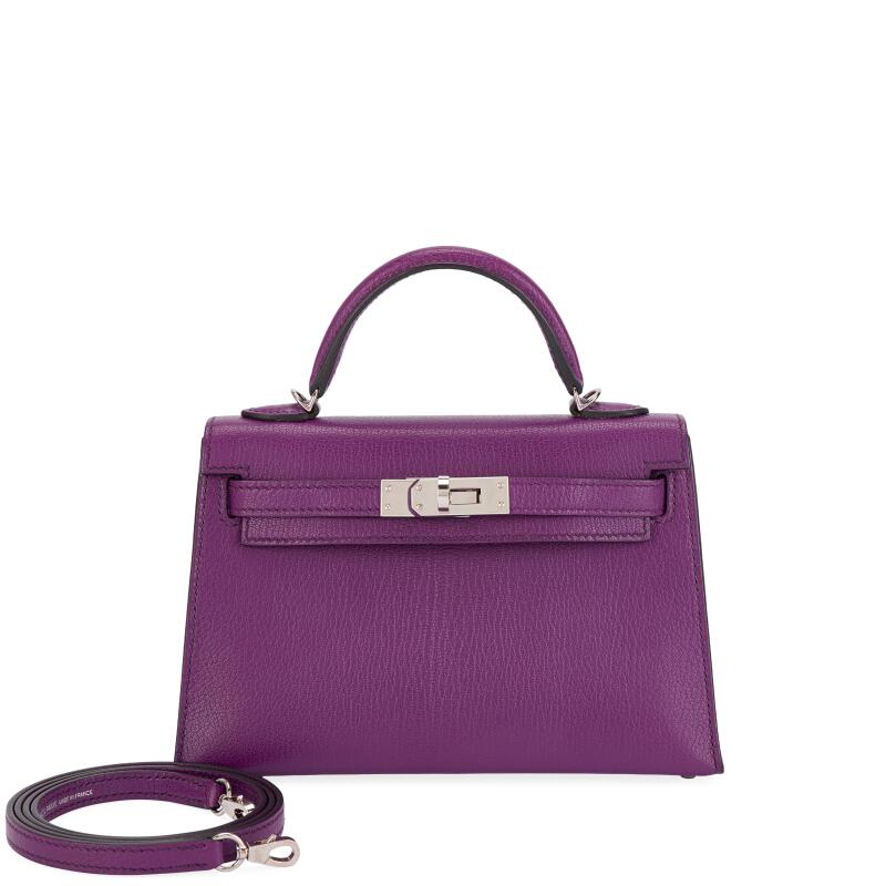 Hermes Anemone Chèvre Mini Kelly II 20 Palladium Hardware, 2021