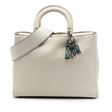 Lambskin Large Canyon Grained Lambskin Lady Dior