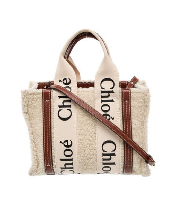 Chloe Shearling Woody Small