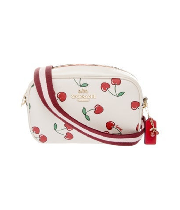 Coach Leather Crossbody Bag