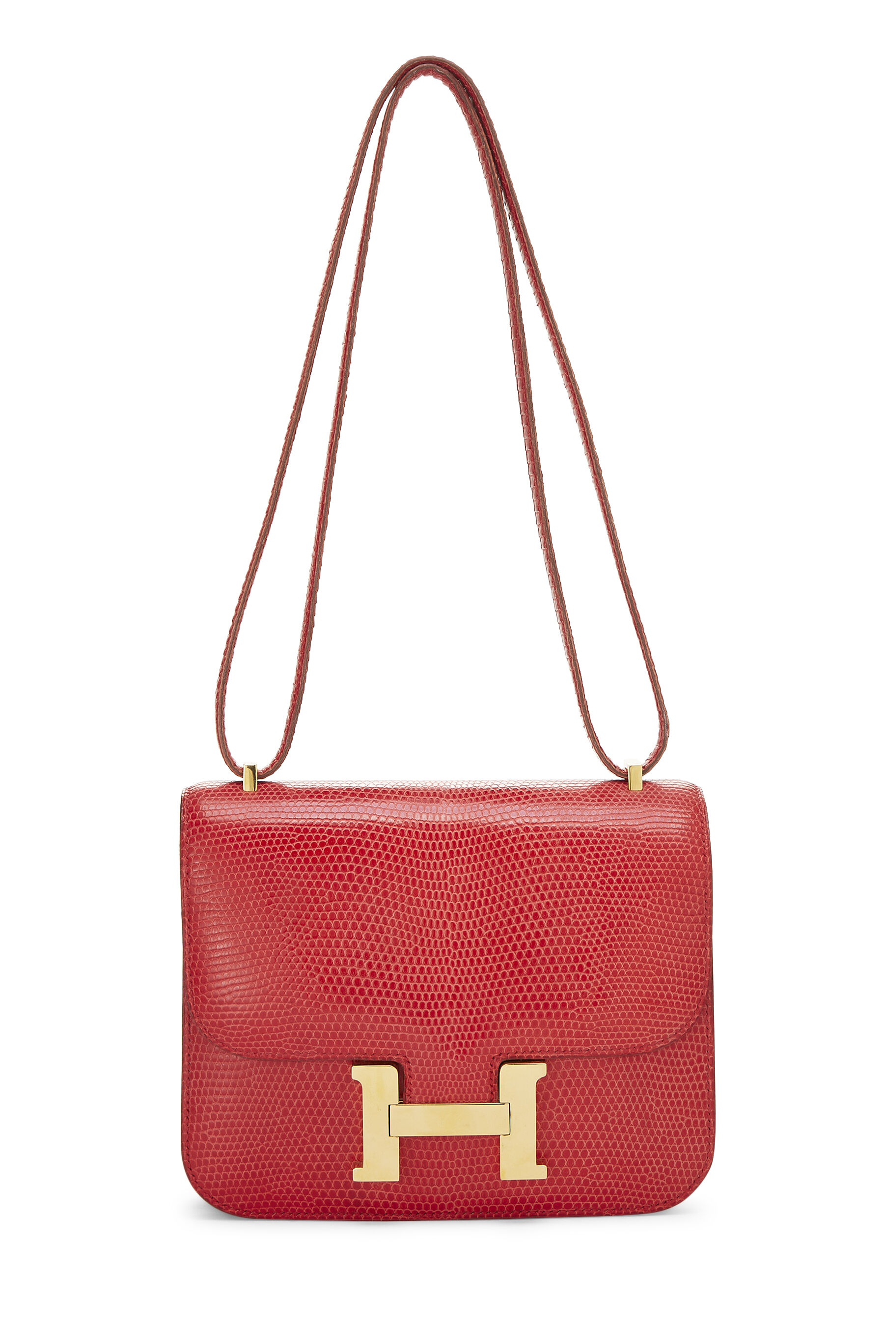 Hermès Rouge Vif Varanus Niloticus Water Monitor Lizard Constance 18