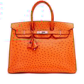 Hermes Tangerine Ostrich Birkin 35 Palladium Hardware, 2004