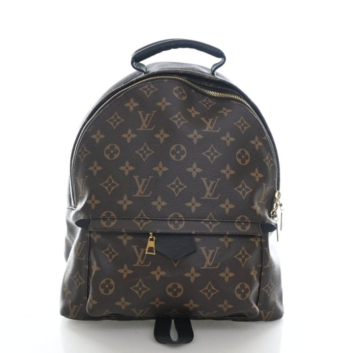 Louis Vuitton Monogram Palm Springs MM