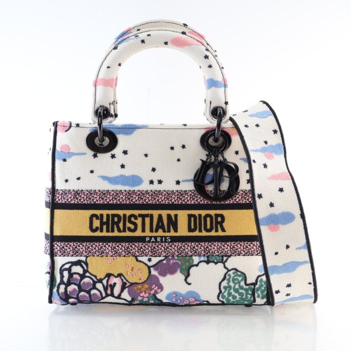 Dior Medium Embroidered Canvas Lady D-Lite