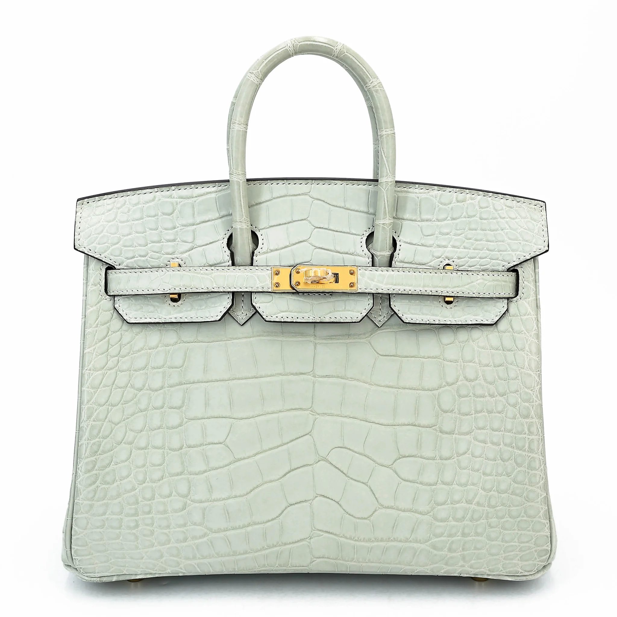 Unused ( Rank NS ) HERMÈS Birkin 25 Gris Neve (0W) Matte Alligator Gold hardware B (2023)