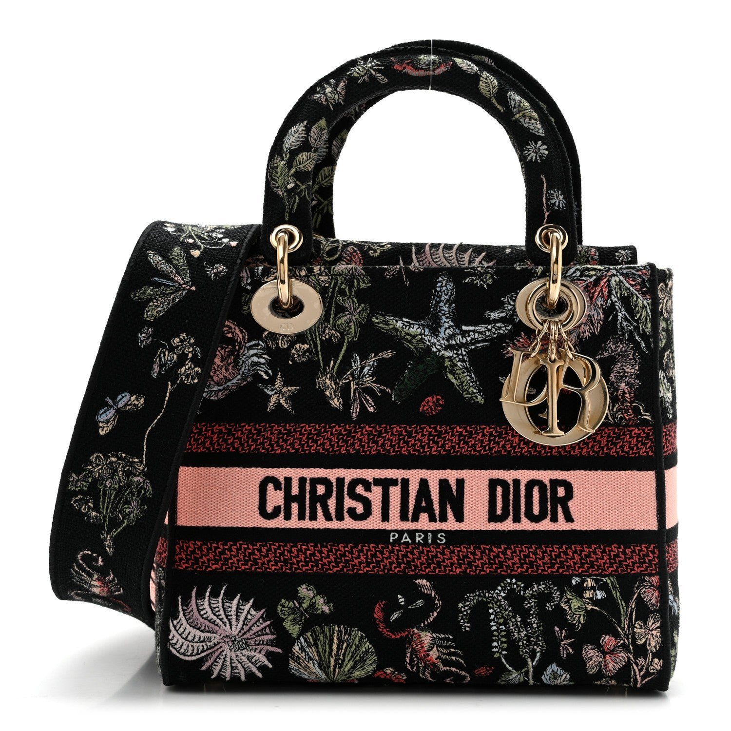 Christian Dior Canvas Cabinet De Curiosites Embroidered Medium Lady D-Lite Black Multicolor
