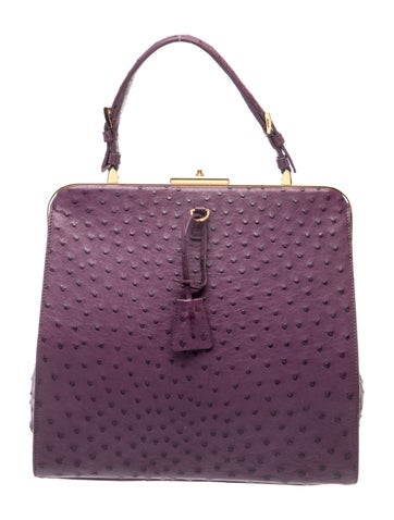 Ostrich Top Handle Bag