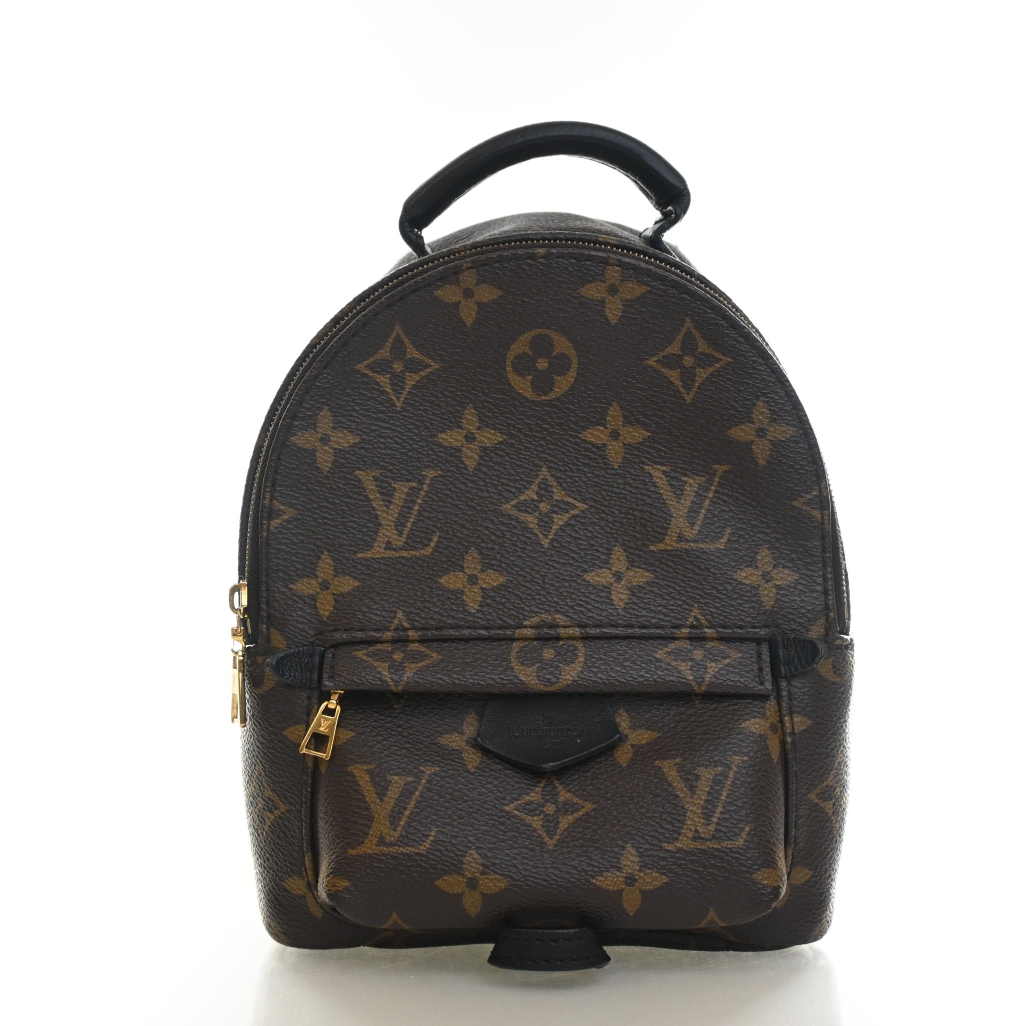Louis Vuitton Monogram Palm Springs Mini
