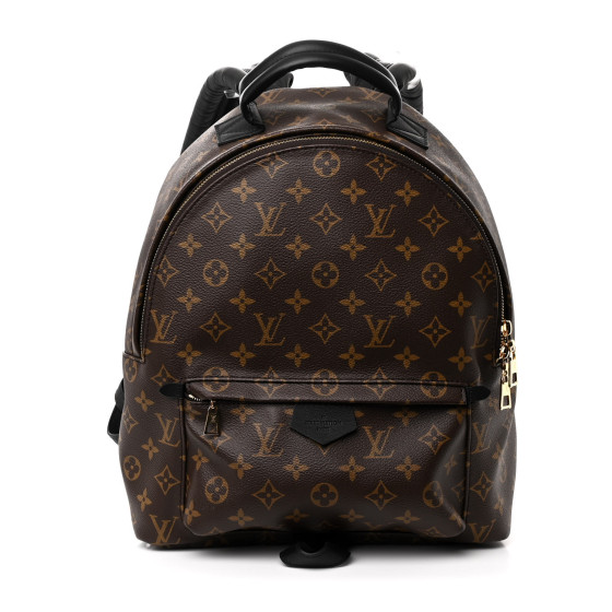 Louis Vuitton Monogram Palm Springs Backpack MM