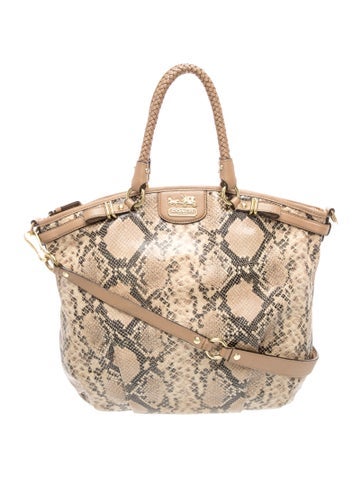 Lizard Top Handle Bag