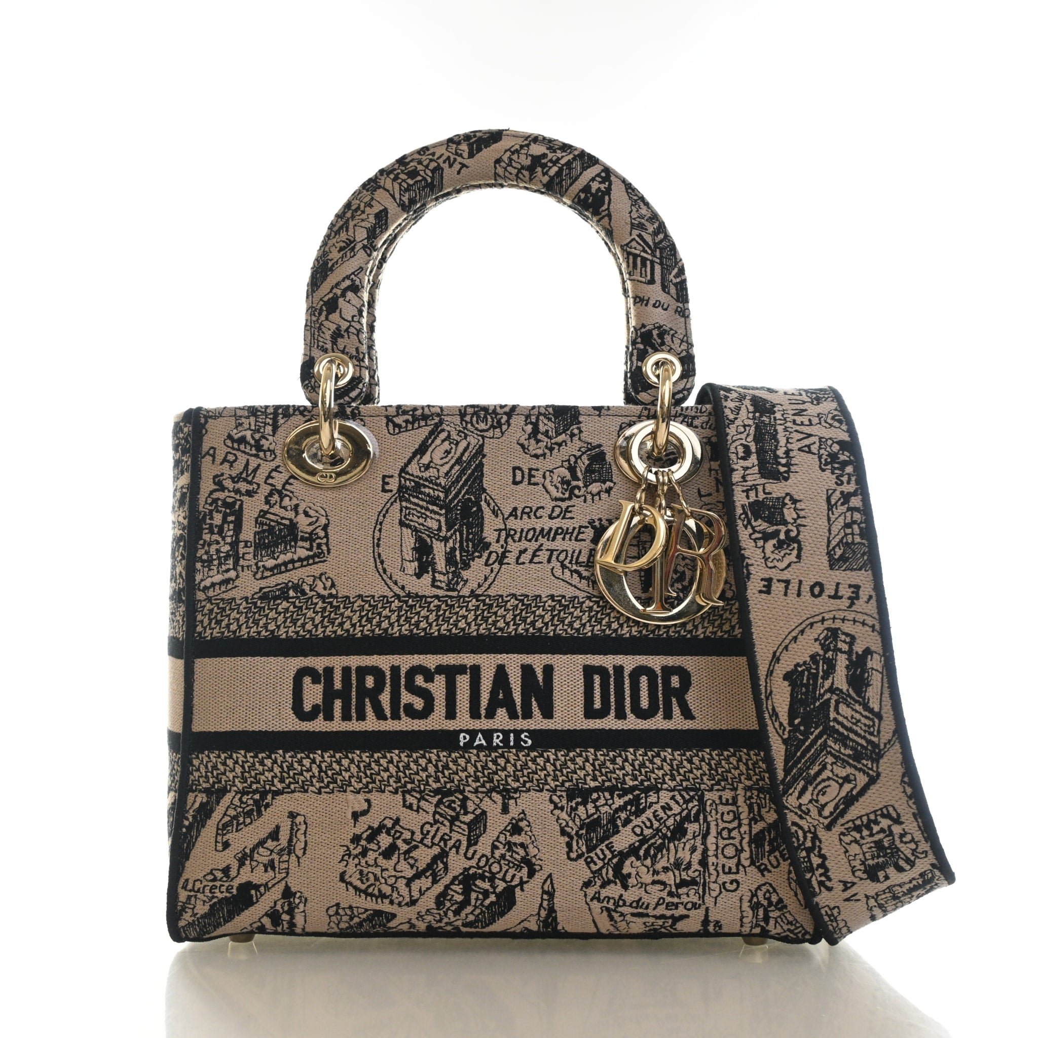 Christian Dior Medium Toile De Jouy Plan De Paris Lady D-Lite