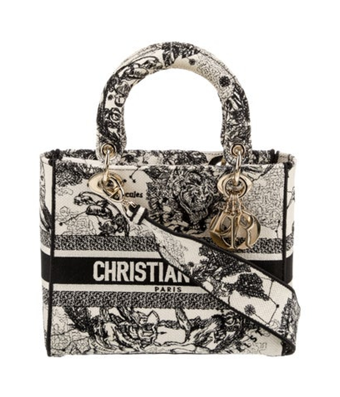 Dior Dior Canvas D Lite Medium