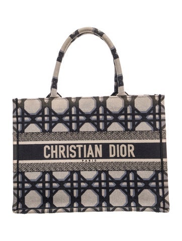 Dior Canvas Book Medium 2023