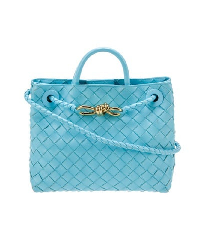 Bottega Veneta Veneta Intrecciato Andiamo Small 2024