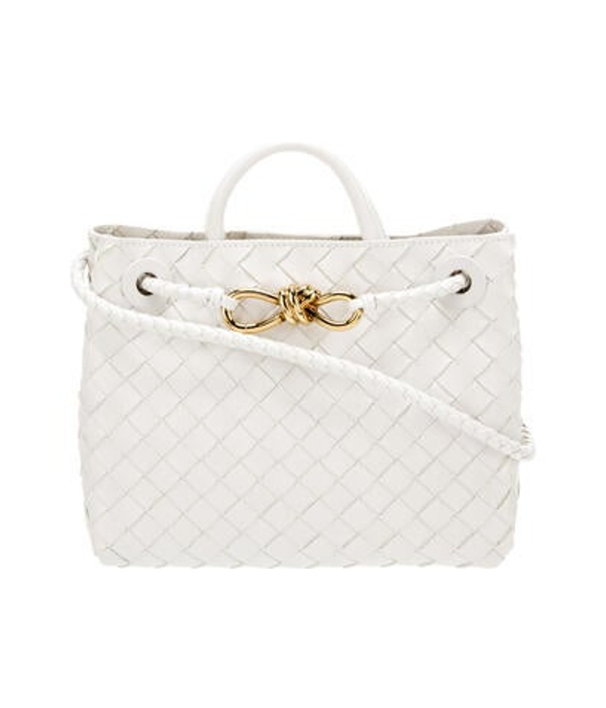 Bottega Veneta Veneta Intrecciato Andiamo Small