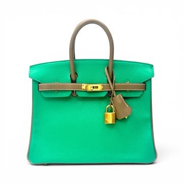 Chevre Mysore Goatskin Birkin 25