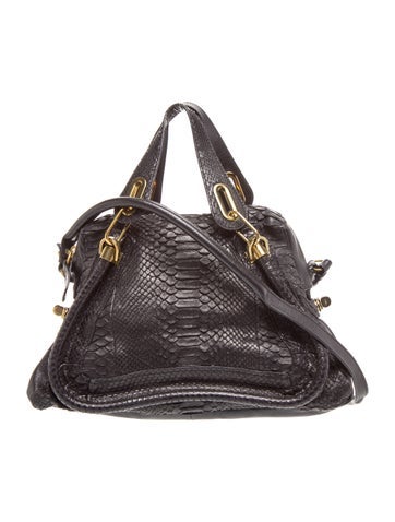 Chloe Python Paraty