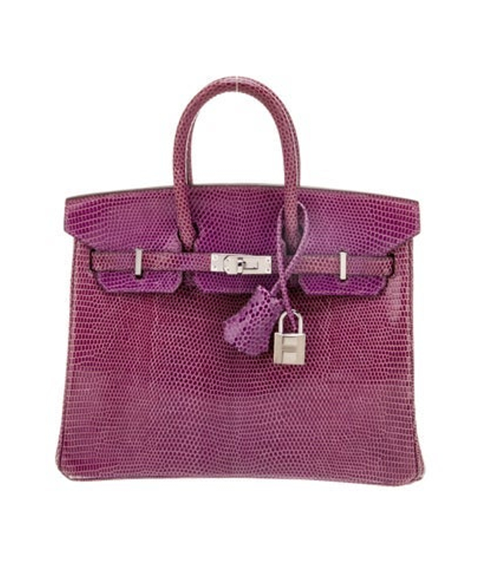 Hermes Varanus Niloticus Lizard Birkin 25