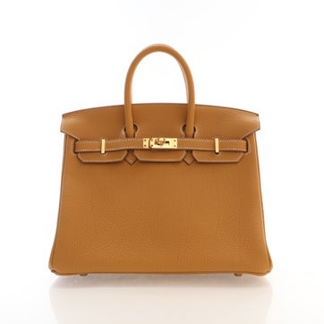 Togo Leather Birkin 25 2024