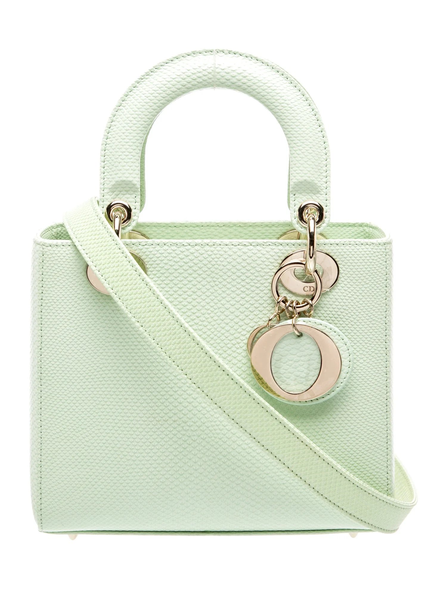Lizard Lady Dior Small 2024