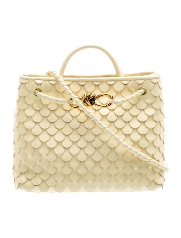 Bottega Veneta Intrecciato Andiamo Medium