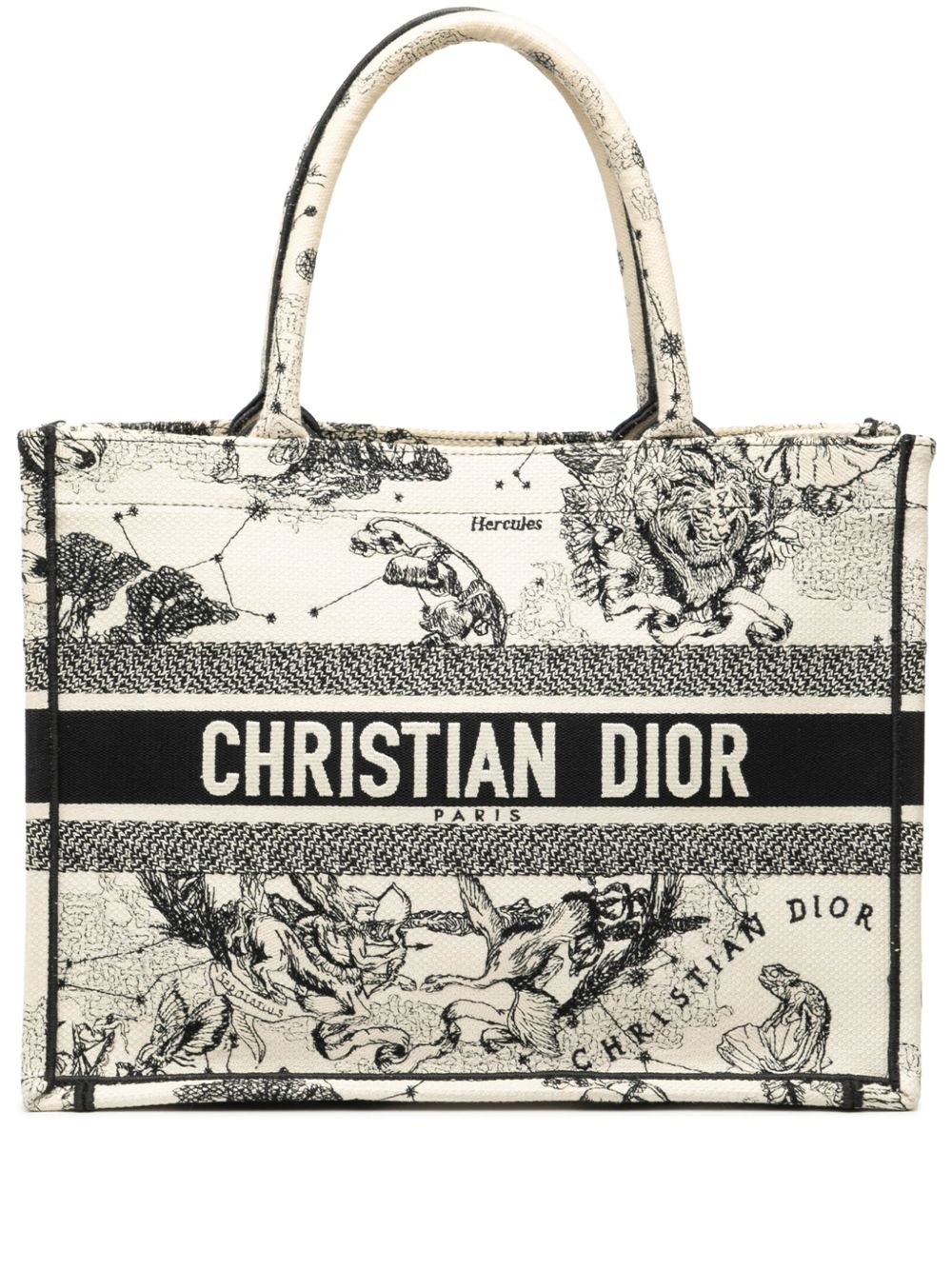 2022 Medium Canvas Embroidered Zodiac Toile De Jouy Book tote bag