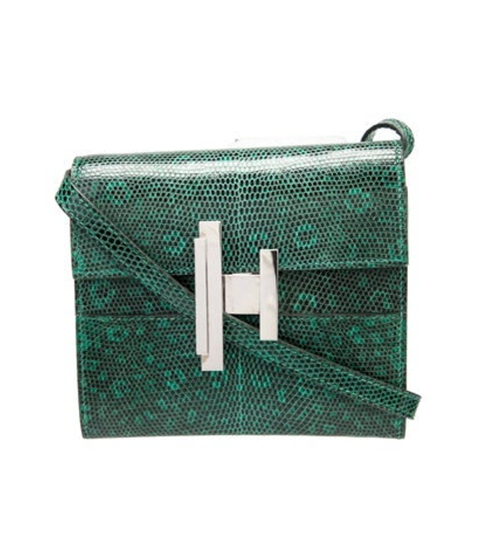 Hermes Varanus Salvator Lizard Cinhetic To Go