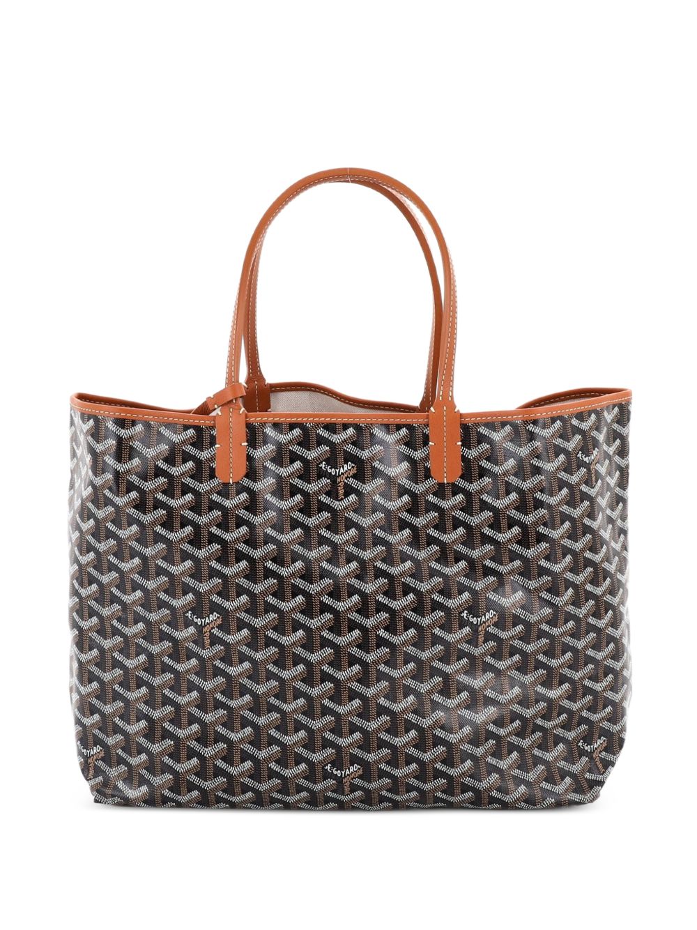 Saint Louis Coated Canvas PM tote bag