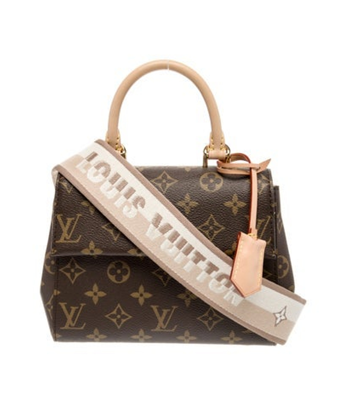 Louis Vuitton Vuitton Lv Monogram Cluny Mini