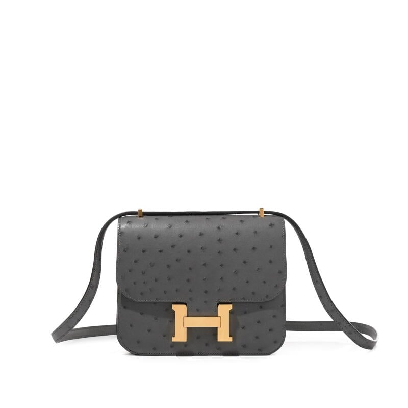 Graphite Ostrich Mini Constance 18 Gold Hardware, 2022