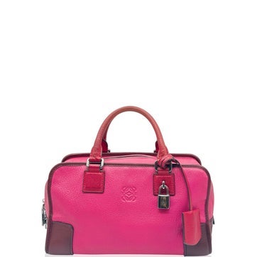 Loewe Togo Leather Amazona