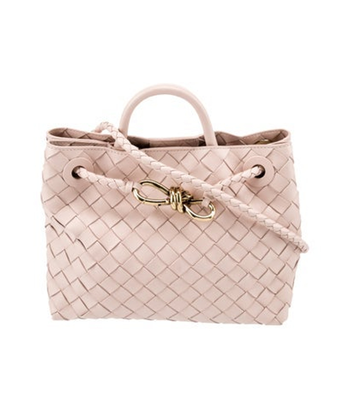 Bottega Veneta Veneta Intrecciato Andiamo Small