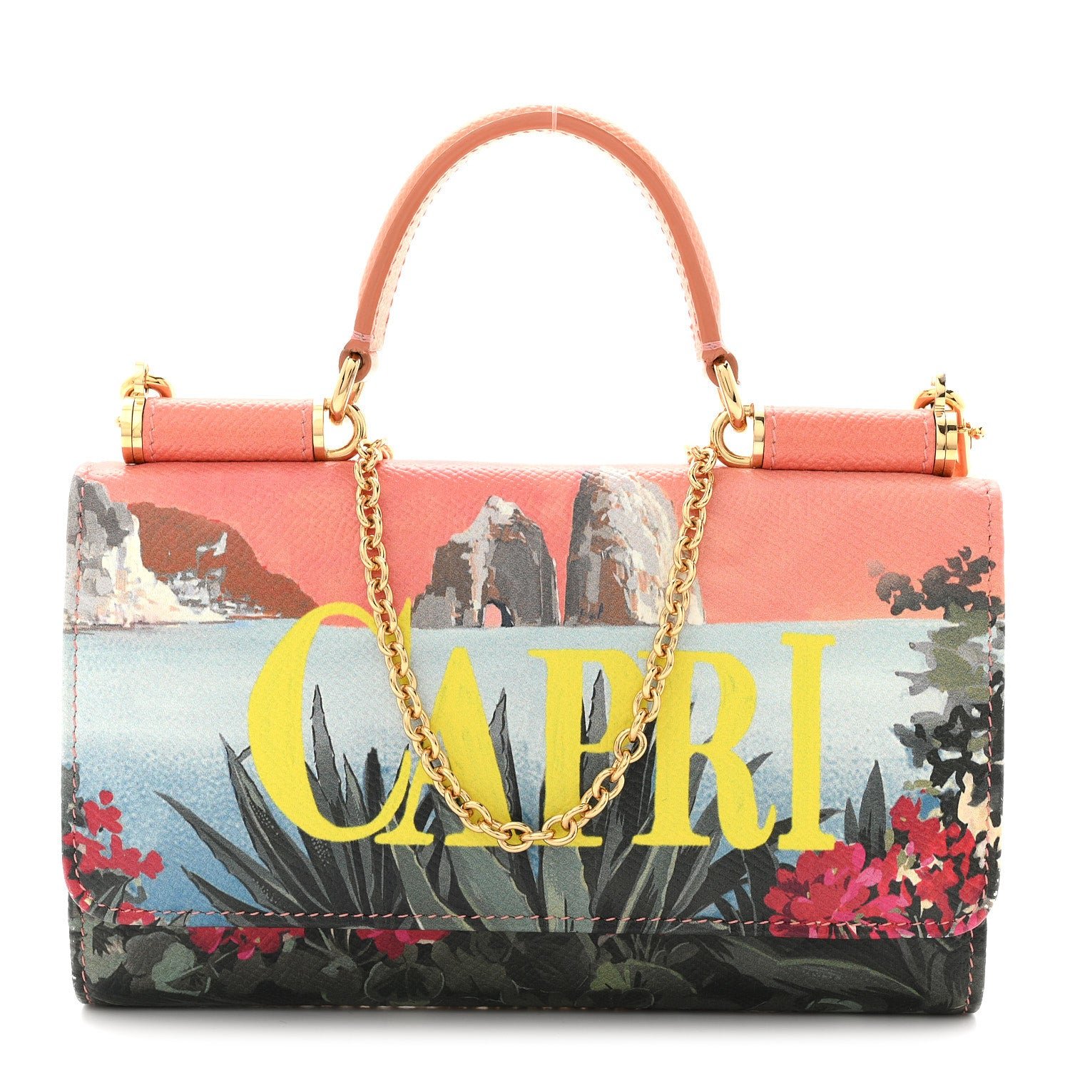 Dolce & Gabbana Dauphine Capri Printed Mini Von Bag Multicolor