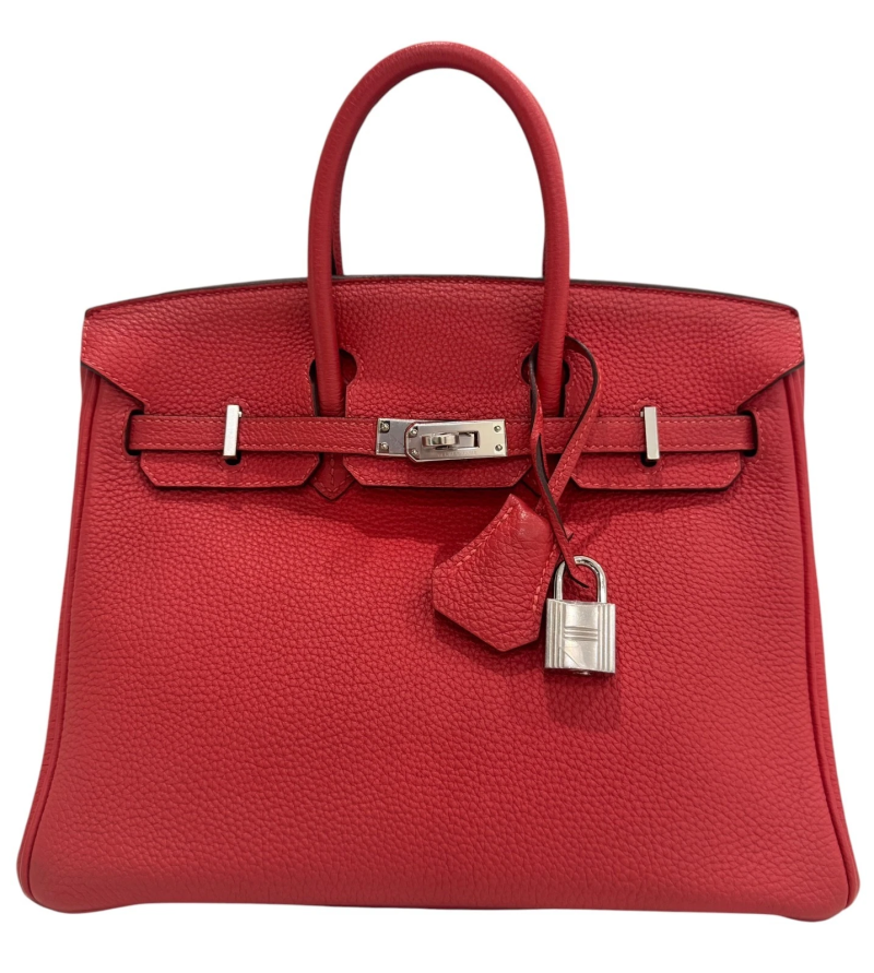 Bougainvillea Togo Birkin 25 Palladium Hardware, 2015