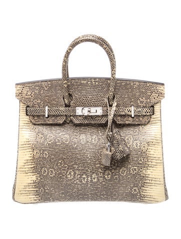 Varanus Salvator Lizard Birkin 25