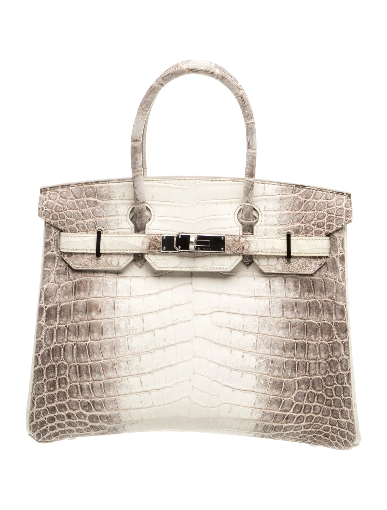 Matte Crocodile Niloticus Himalayan Birkin 30