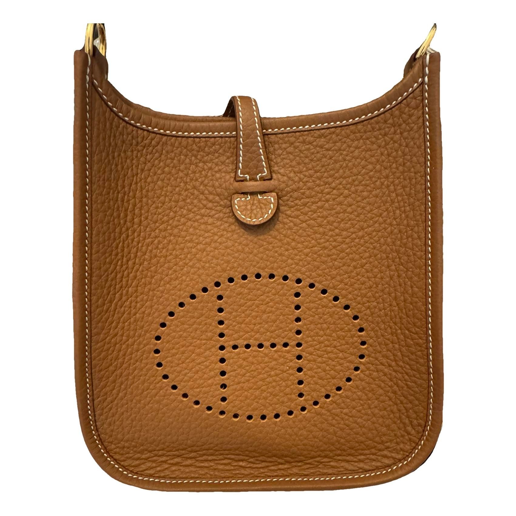 Mini Evelyne leather crossbody bag