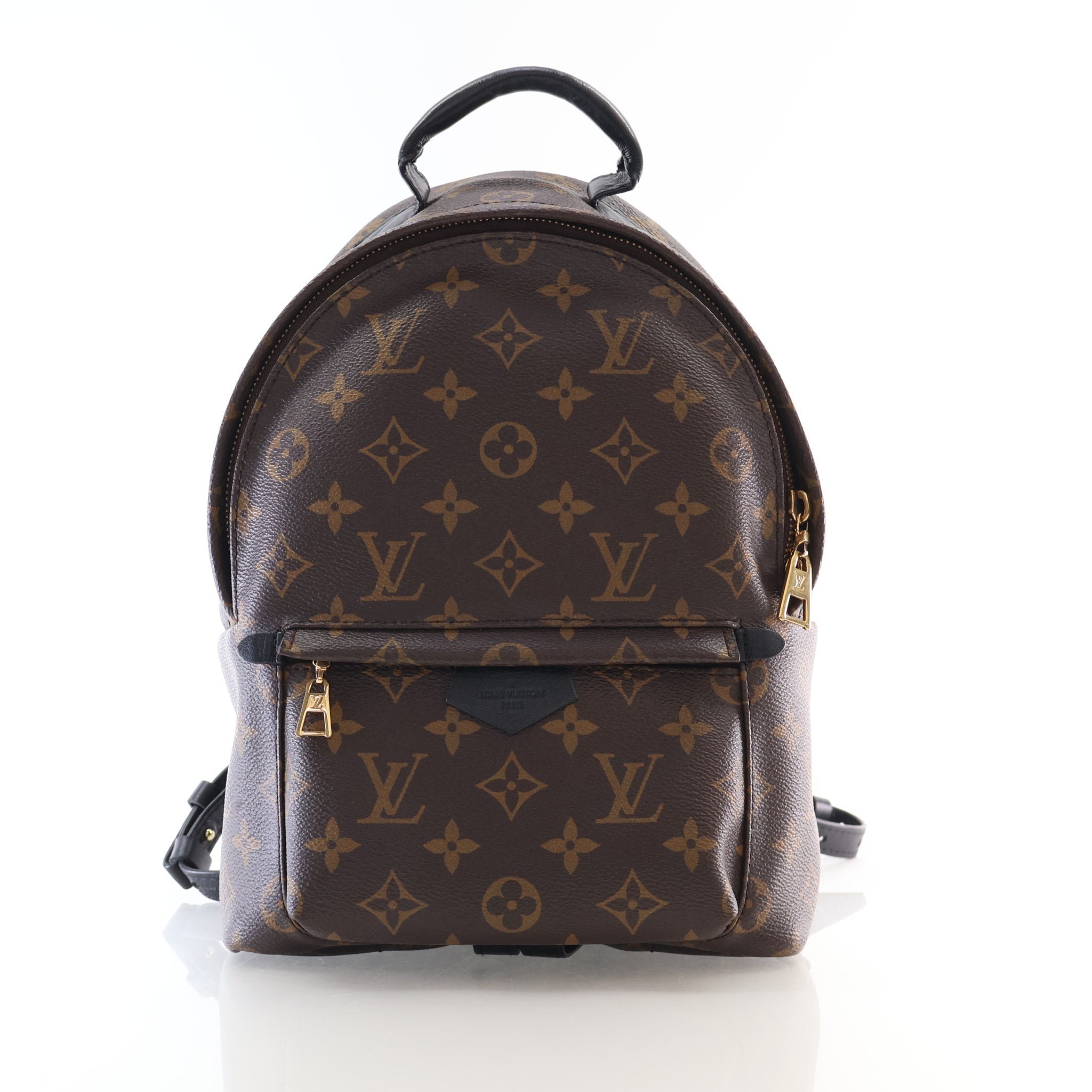 Louis Vuitton Monogram Palm Springs PM