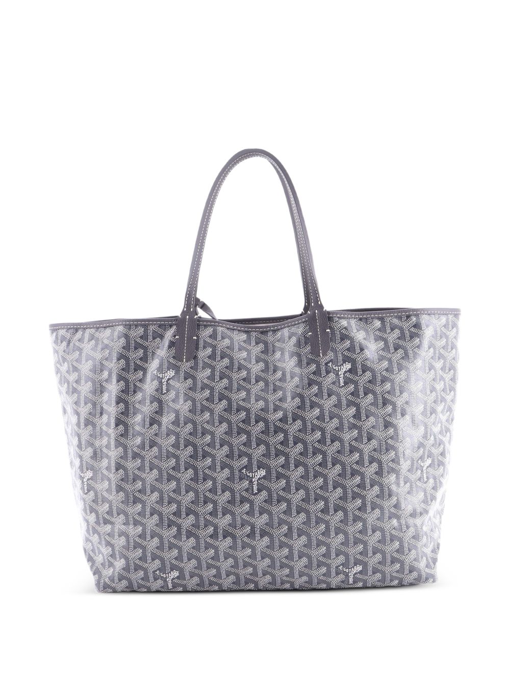 Saint Louis Coated Canvas PM tote bag