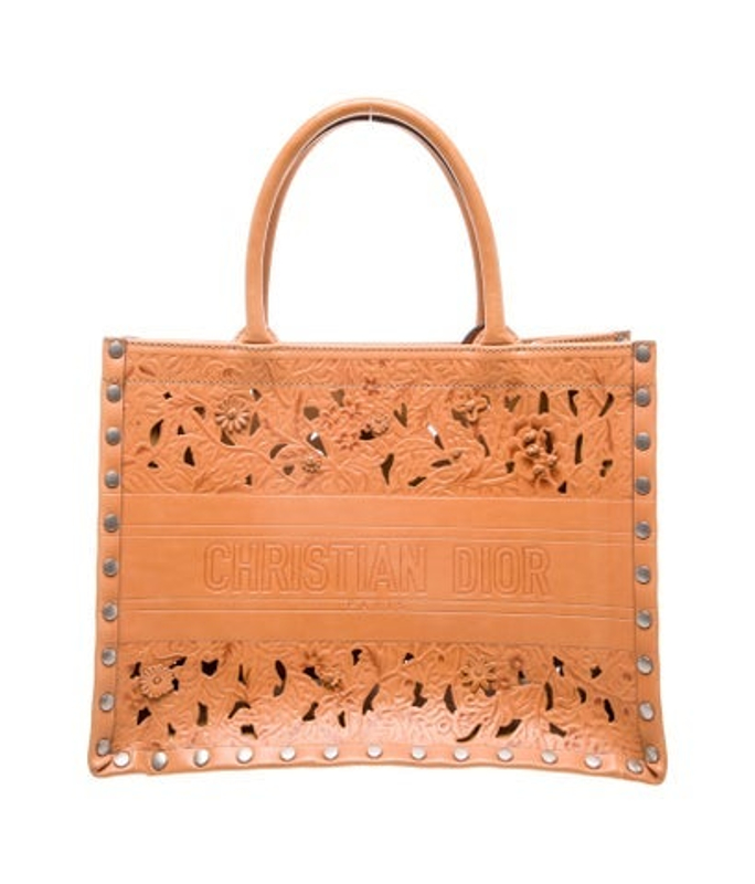 Dior Dior Leather Book Medium 2023