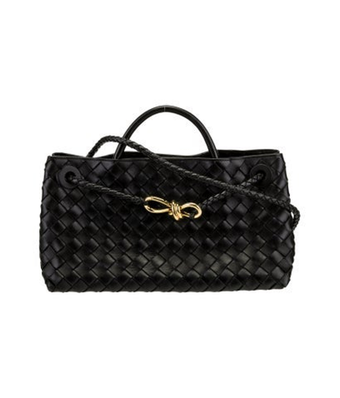 Bottega Veneta Veneta Intrecciato Andiamo Small