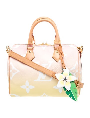 Monogram Giant Speedy Bandouliere 20