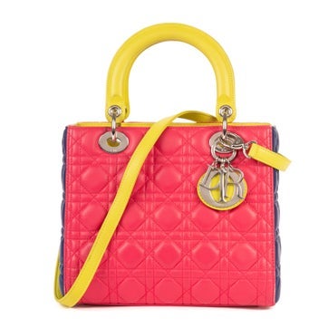 Dior Leather Lady Dior Tricolor