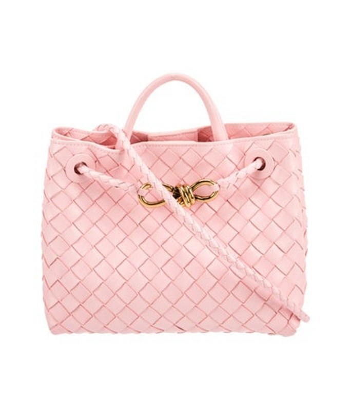 Bottega Veneta Veneta Intrecciato Andiamo Small